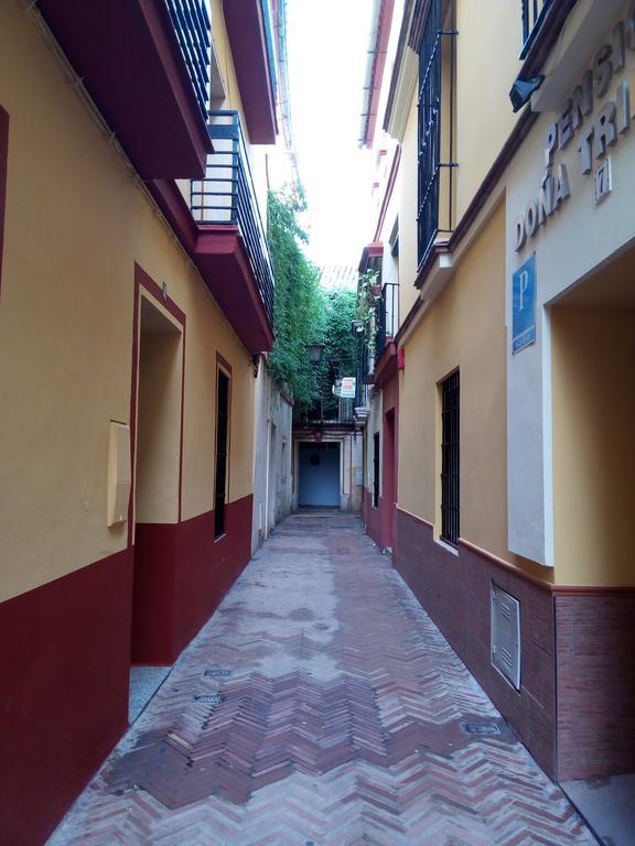 Apartamento San Clemente Sevilla Bagian luar foto
